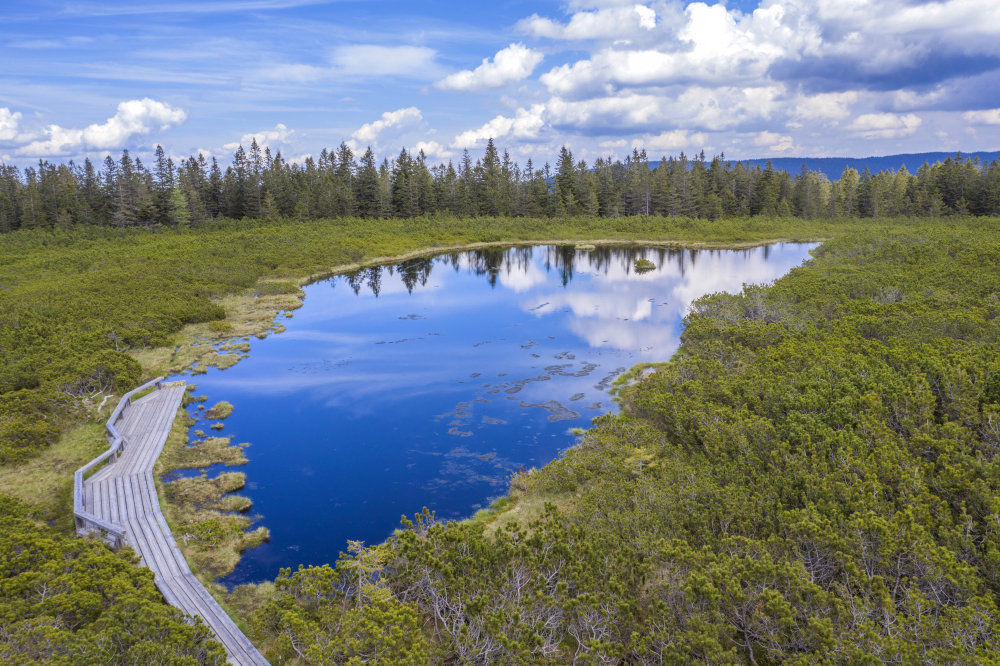 evaporation basin